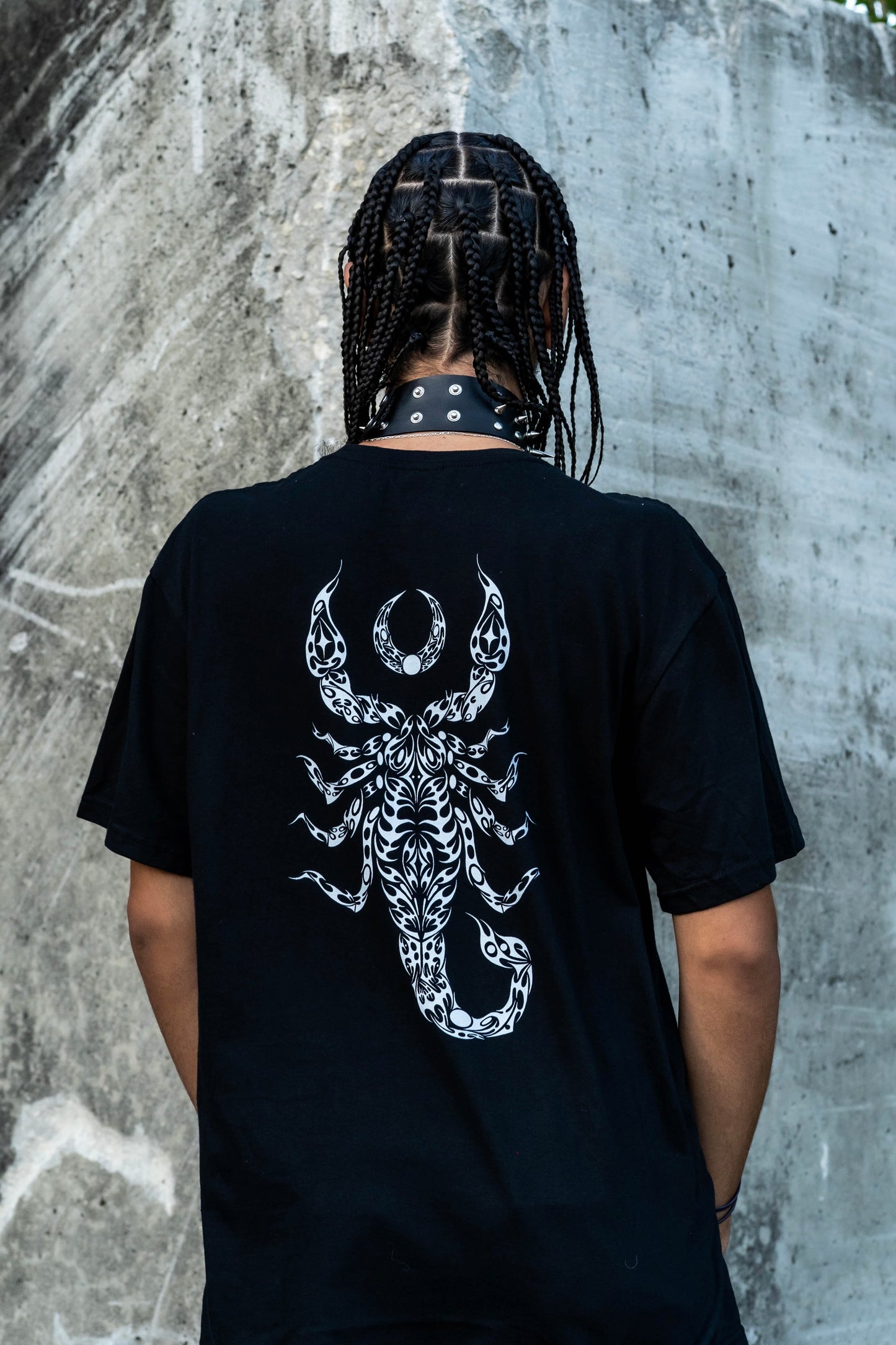 Scorpio Moon Phase